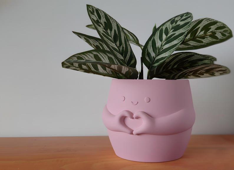 May include: A pink plant pot with a smiling face and arms forming a heart shape, holding a green and white striped plant. The pot is on a wooden surface.