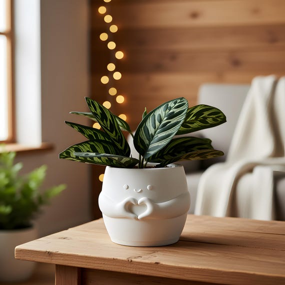 Heart Hands Planter Cute Succulent Pot Smiling Face Minimalist Plant Lover Gift