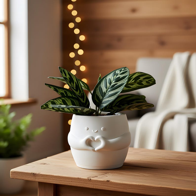 May include: A white ceramic planter with a smiling face and hands forming a heart shape, holding a green and white striped plant. The planter sits on a wooden table, with a blurred background of a wooden wall and fairy lights.