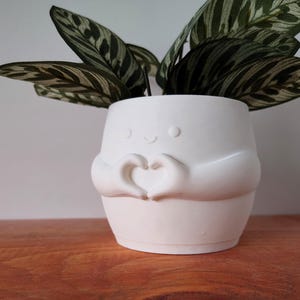 May include: A white ceramic plant pot with a smiling face and hands shaped into a heart. It contains a green plant with patterned leaves. The pot is on a wooden surface.
