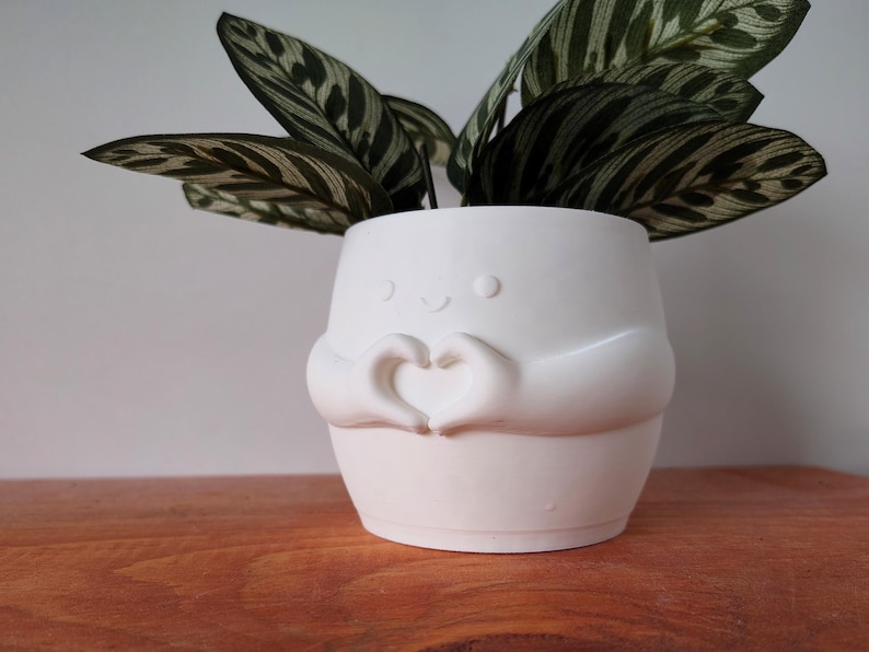 May include: A white ceramic plant pot with a smiling face and hands shaped into a heart. It contains a green plant with patterned leaves. The pot is on a wooden surface.
