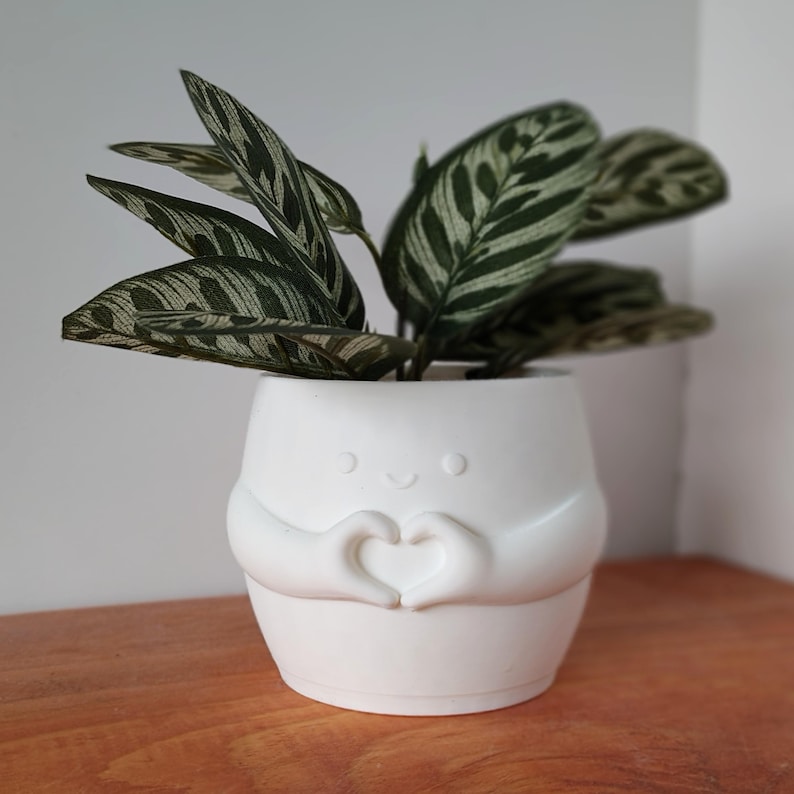 May include: A white ceramic plant pot with a smiling face and hands shaped into a heart. It contains a green plant with patterned leaves. The pot sits on a wooden surface.