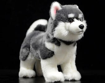 pomsky plush