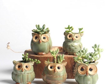 5 piezas Set de cerámica búho forma jardín maceta / maceta suculentas / mini maceta / jardín