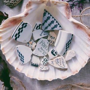 May include: A collection of broken pottery pieces, featuring black and white patterns and text, nestled inside a large seashell. The shell sits on a neutral-toned surface, with additional decorative elements including a piece of coral and twine.