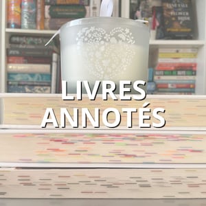 Livres annotés EN FRANÇAIS | Livres personnalisés | Cadeau livresque | Book Blind Date | Booktok
