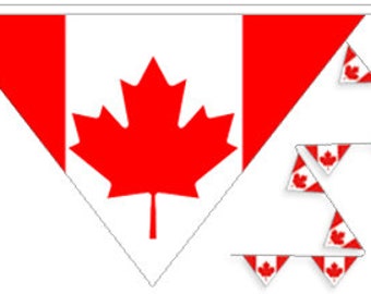 Canada Flag string Banner 1500 cm.( 50Ft) 25 Canada Bunting Banner Flags