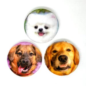 May include: Three circular pillows featuring high-resolution photographic prints of dog faces. The top pillow shows a white fluffy dog, the bottom left shows a brown and black dog with its tongue out, and the bottom right shows a golden dog.