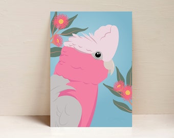 Galah Print, Gumnut Blossom, Parrot Print, Australian Bird Wall Art, Digital Illustration