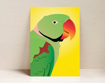 Alexandrine Print, Parrot Print, Bird Wall Art, Digital Illustration
