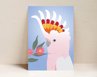 Cockatoo Print, Major Mitchell, Parrot Print, Australian Bird Wall Art, Digital Illustration