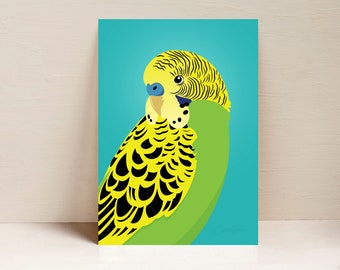 Budgie Print, Bird Print, Australian Bird Wall Art, Digital Illustration