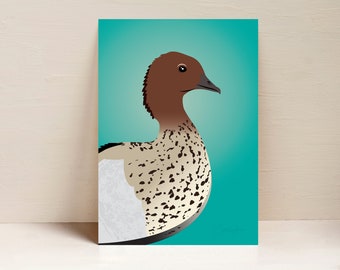 Duck, Bird Print, Australian Bird Wall Art, Digital Illustration