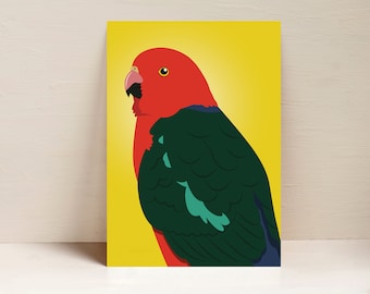 King-Parrot Print, Parrot Print, Australian Bird Wall Art, Digital Illustration