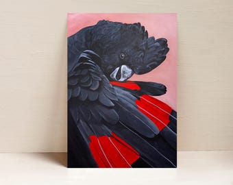 Black Cockatoo Print, Bird Print, Australian Bird Wall Art, Art Acrylic Print