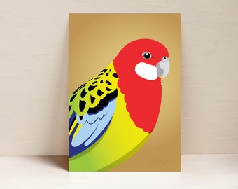 Rosella Print, Parrot Print, Australian Bird Wall Art, Digital Illustration