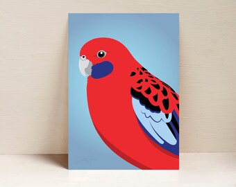 Rosella Print, Parrot Print, Australian Bird Wall Art, Digital Illustration