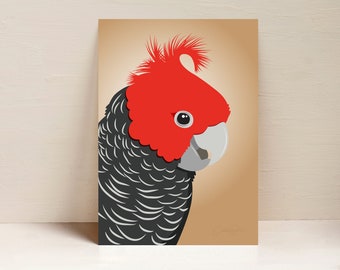 Gang Gang Cockatoo Print, Parrot Print, Australian Bird Wall Art, Digital Illustration