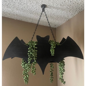 Hanging Bat Succulent Planter