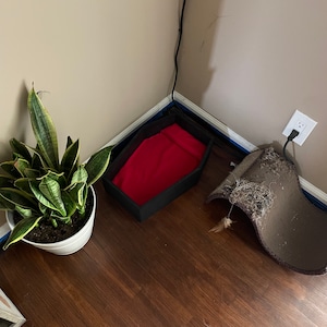 Coffin Pet Bed