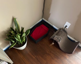May include: A room corner featuring a white potted snake plant, a black cat bed with a red blanket, and a damaged brown cat scratching post. The room has wooden flooring and beige walls.
