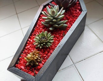 Coffin Planter Box
