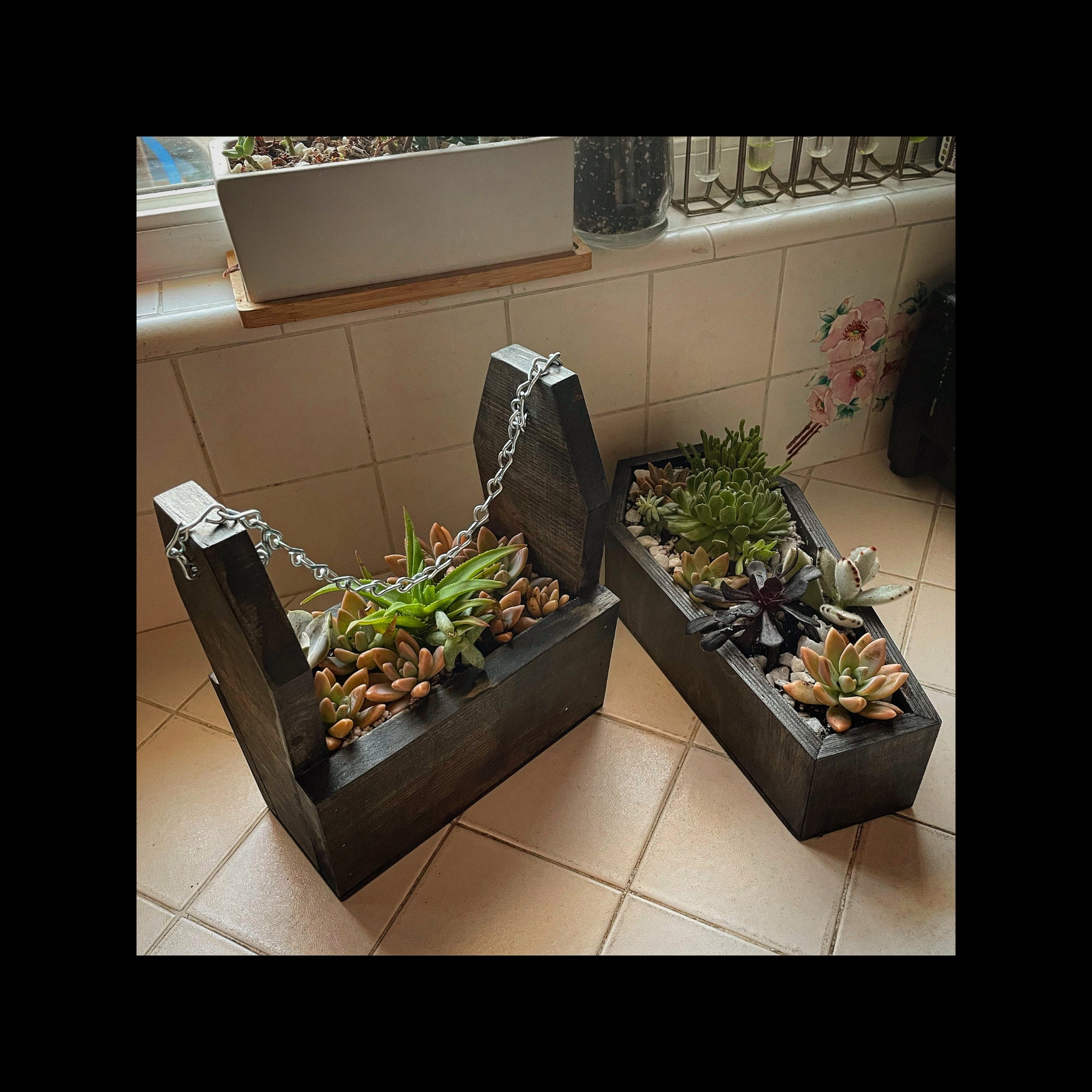 plant light for terrarium Light Up Terrarium Kit