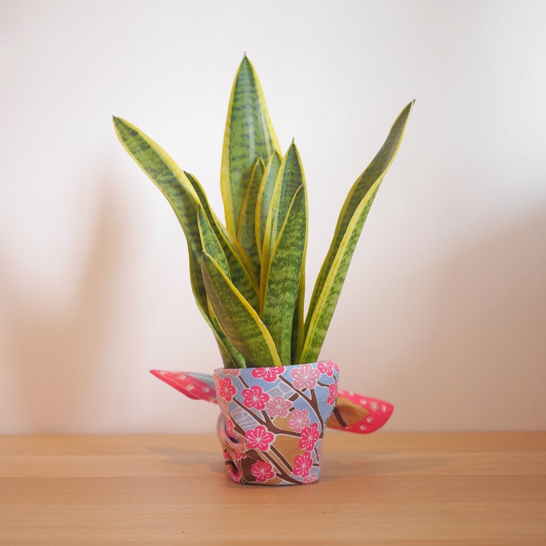 Cat Furoshiki with pink Sakura, Cherry blossoms. Beautiful and Reusable Gift wrapping. Eco-friendly Christmas reusable gift wrapping.