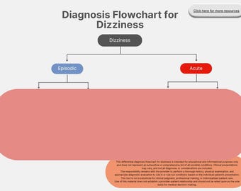 Dizziness Differential Diagnosis Flowchart | Nurse Practitioner Template | Primary Care Clinical Tool | NP Resource PDF