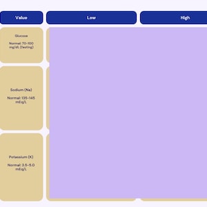 CMP Lab Interpretation Guide for Nurse Practitioners | Electrolyte, Kidney, Liver Labs (Digital Download)