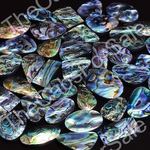 Natural Bulk Abalone Shell Seashell Rainbow Abalone Shell Wholesale Abalone Shell Colorful Abalone Shell Pieces Perfect for Jewelry, Crafts