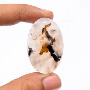 Cabujón de ágata dendrítica de tigre/Piedra de ágata dendrítica de tamaño mediano/Piedra preciosa de ágata dendrítica original