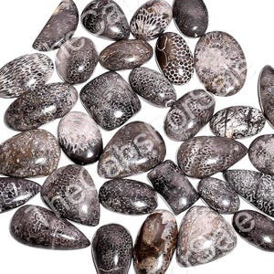Natural Black Fossil Coral Cabochon Gemstone Flat back Snake Fossil Coral Cabachon Wholesale Crystal in Bulk hand Polished
