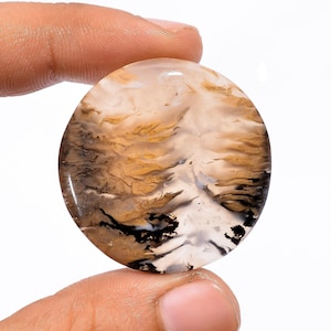 Natural Tiger Dendritic Agate Crystal Round Oval Pear Dendrite Agate Cabochon Brown Black Agate Dendritic Gemstone