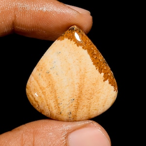 Natural Owyhee Picture Jasper Cabochon Flat Back Gemstone Hand Polished Landscape Stone From Oregon