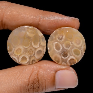 Pair Coral Fossil cabochons, Fossil Coral Stone, Fossil Coral Cabochon, Natural Gemstone, matched pair for jewelry making