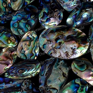Natürliche Abalone Shell Pieces Großhandelsmix Lot Paua Abalone Shell Für die Schmuckherstellung, Paua Shell Lot, Abalone Lot