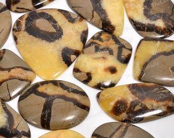 Stunning Quality Dragon Stone, Dragon Septarian, Septarian Cabochon, Septarian Palm Stone, Wholesale Septarian, Sizes 15mm to 50mm