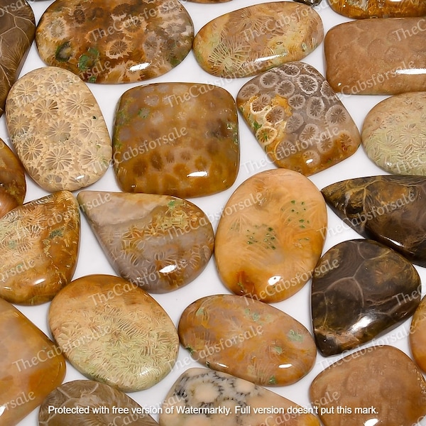 Natural Fossil Coral Cabochon, Wholesale Agatized Coral Bulk Gemstone, Mix Shape, Indonesian fossil coral, Size 20mm to 40mm