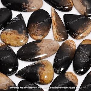 100% Natural Palm Root Agate Cabochon, Fossil Palm Root From Indonesia, Petrified Palm Wood Polished, Wholesale Agate, Sizes 15mm to 55mm