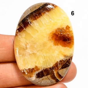 Natürliche Septarische Cabochon Gelb Calcit und Braun Aragonit Drachen Flache Rückseite Edelstein Drachen Septarische Stein Cabochon für die Schmuckherstellung
