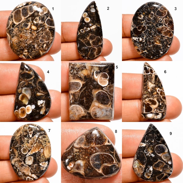 Natural Turritella Fossil Agate Cabochon Gemstone For Jewelry, Flatback Hand Polish Turritella Agate Stone, Snail Shell Fossil Cabochon