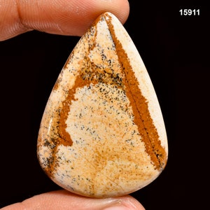 Owyhee Picture Jasper Cabochon