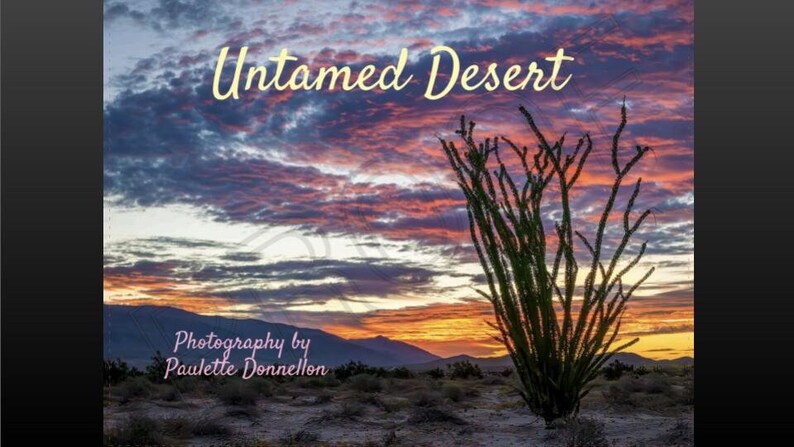 2024 Desert Calendar - Etsy