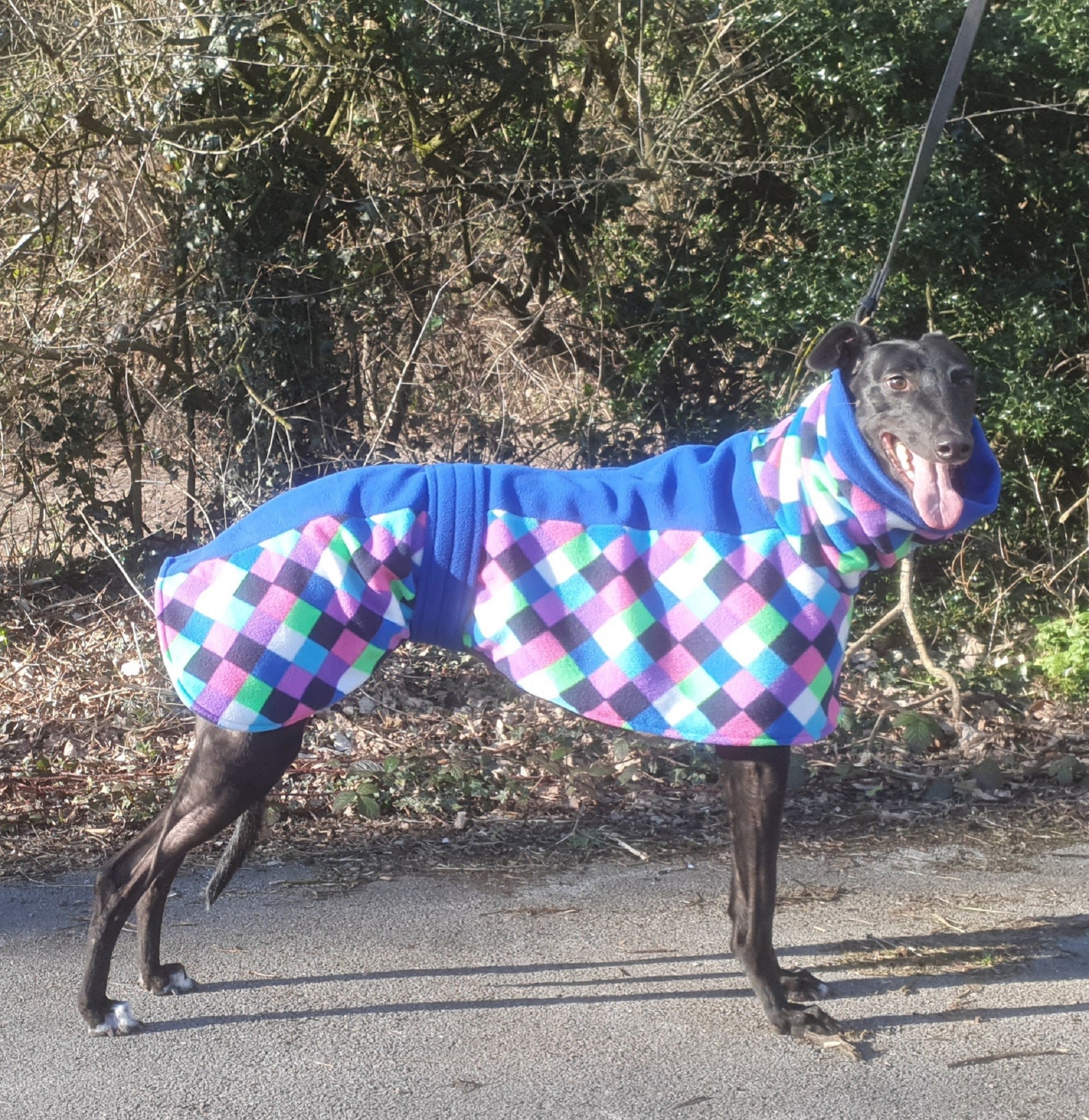 Totally Greyhound. Harlequin Fleece Coat. Regular Fit Etsy Canada