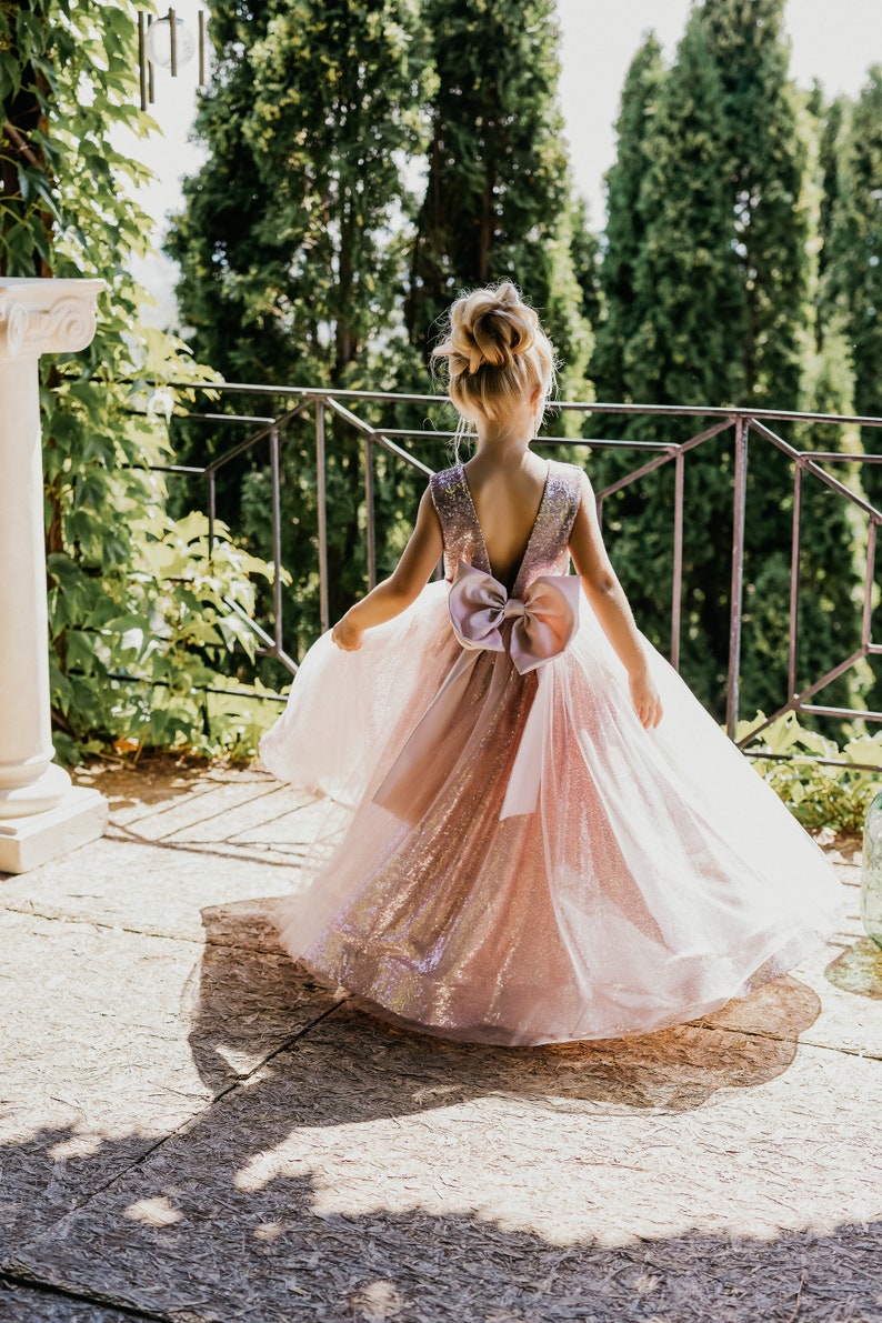 Blush Glitter Flower Girl Dress Tulle Flower Girl Dress Etsy