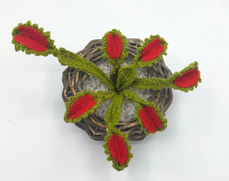 K&ouml;nnte beinhalten: Eine geh&auml;kelte Venusfliegenfalle mit gr&uuml;nen Stielen und Bl&auml;ttern sowie roten Innenfallen. Die Pflanze befindet sich in einem kleinen, runden, dunkelbraunen Weidenkorb, der mit kleinen wei&szlig;en Steinen gef&uuml;llt ist, betrachtet aus der Vogelperspektive.