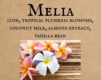 Melia Perfume Oil, Indie Perfume, Plumeria, Coconut Milk, Almond Extract, Vanilla Bean, Indie, Perfume Oils