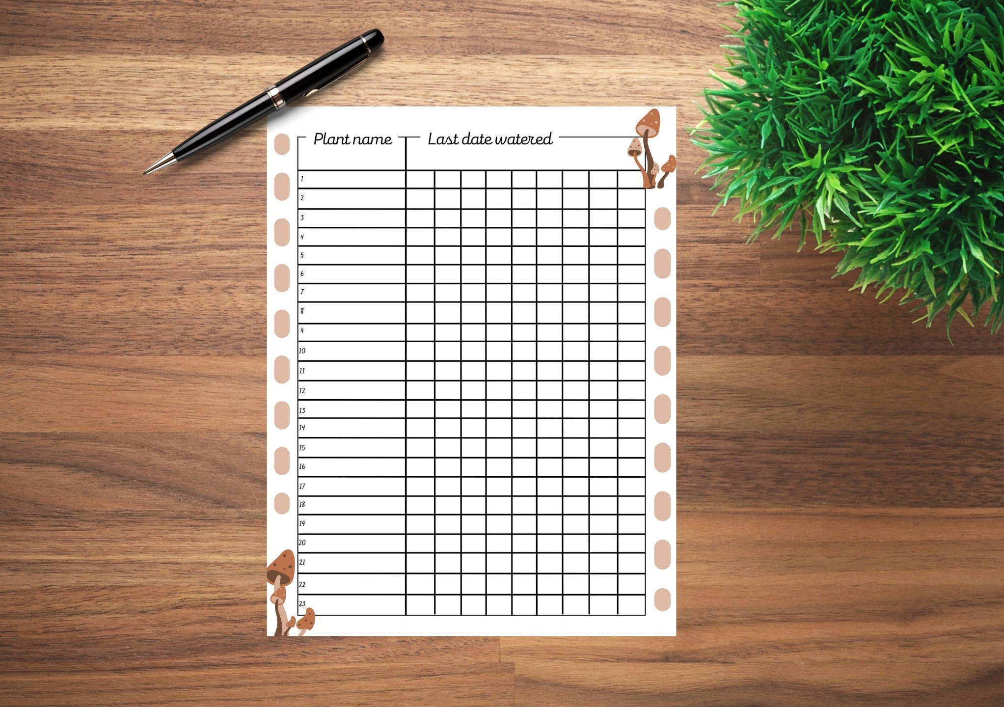 Plant Watering Tracker PRINTABLE Watering Schedule PDF Tracker