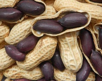 white black Non-GMO 100% THAI Heirloom mix 20 seed  Peanut Peanuts red 